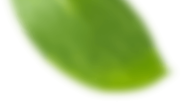 A Solução do seu Lado