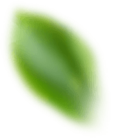 A Solução do seu Lado