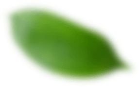 A Solução do seu Lado