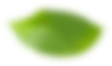 A Solução do seu Lado