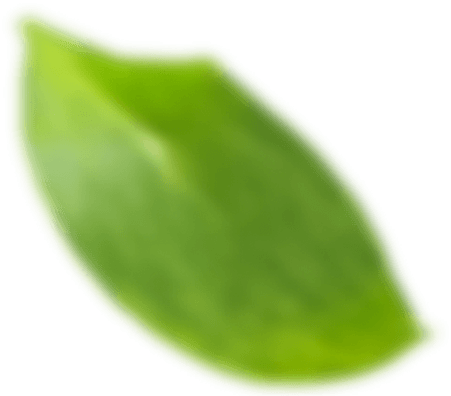 A Solução do seu Lado